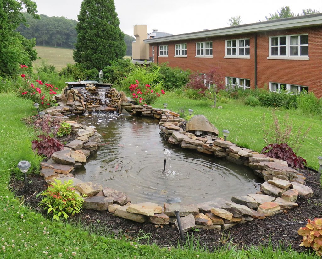 Rock Pond with Goldfish